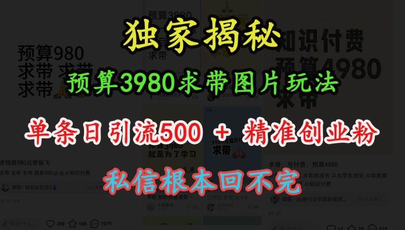 【15707】预算3980求带 图片玩法，单条日引流500+精准创业粉，私信根本回不完
