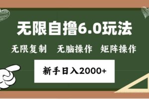 【15762】年底无限撸6.0新玩法，单机一小时18块，无脑批量操作日入2000+