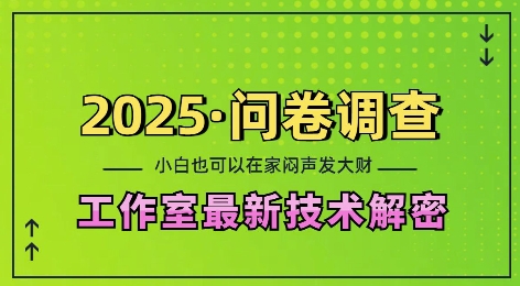 【15973】2025问卷调查最新工作室技术解密：一个人在家也可以闷声发大财，小白一天2张，可矩阵放大【揭秘】