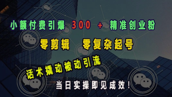 【16194】小额付费引爆 300 + 精准创业粉，零剪辑、零复杂起号，话术撬动被动引流，当日实操即见成效