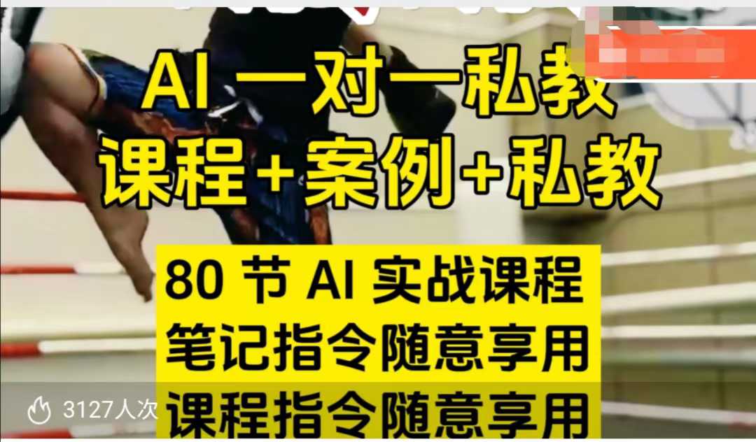 【16479】六叔AI指令实战课，课程+案例，80节AI实战课程，笔记指令随意享用，课程指令随意享用