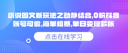 【16889】小说推文图文新玩法之动静结合，0粉抖音账号可做，简单粗暴，单日变现多张