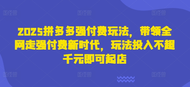 【17237】王校长电商2025拼多多强付费玩法，带领全网走强付费新时代，玩法投入不超千元即可起店