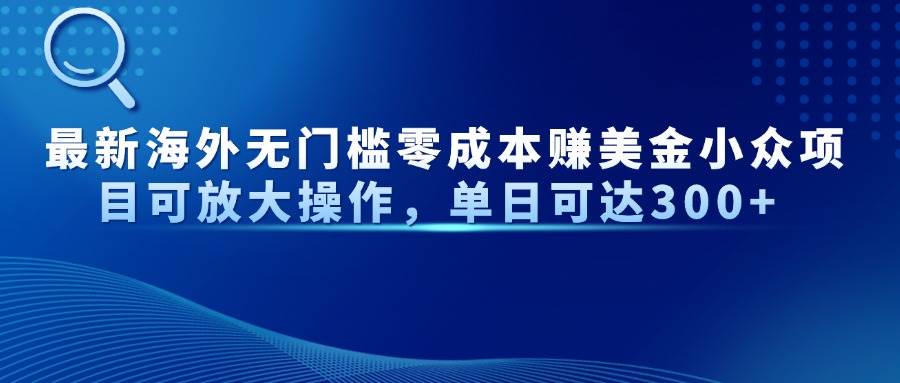 【17598】最新海外无门槛零成本赚美金小众项目可放大操作，单日可达300+