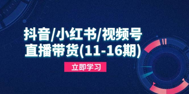 【17688】盗坤抖音小红书视频号直播带货(11-16期)，快速掌握平台规则，打造爆款内容