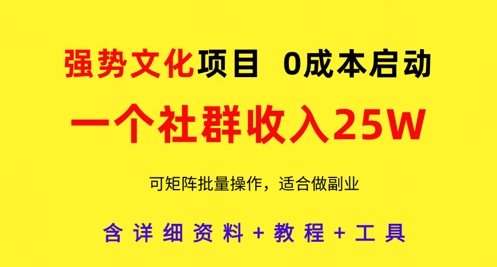 【17763】强势文化项目，一个社群收入25个W，0成本启动，可矩阵批量操作，原创详细实操教程