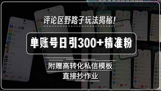 【18835】评论区野路子玩法揭秘！单账号日引300+精准粉，附赠高转化私信模板
