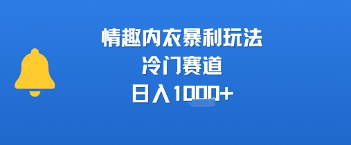 【18919】情趣内衣暴利玩法，冷门赛道，日入1k+