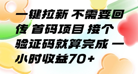 【18981】一键拉新 不需要回传 首码项目 接个验证码就算完成 一小时收益70+【揭秘】