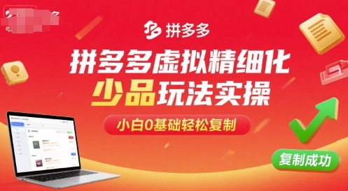 【19591】拼多多虚拟精细化少品玩法实操，小白0基础轻松复制