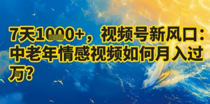 【19622】7天收益1k，视频号新风口中老年情感视频如何月入过W