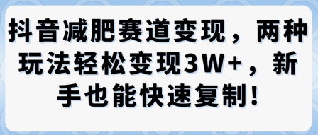 【19865】抖音减肥赛道变现，两种玩法轻松变现3W+，新手也能快速复制