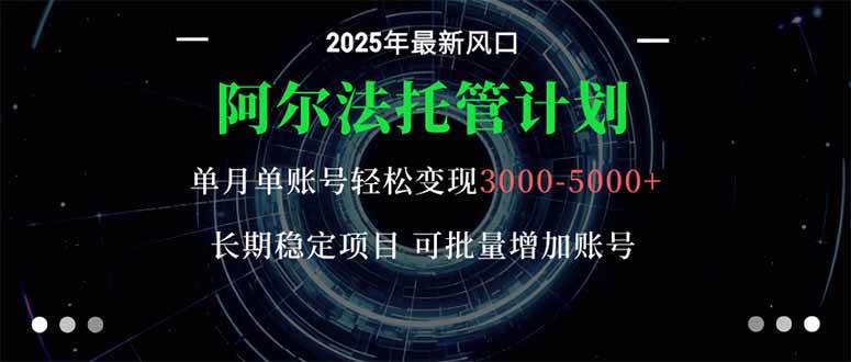 【20092】阿尔法托管计划 单账号月入3000-5000，长期稳定项目，新手小白轻松上手