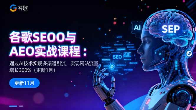 【20241】大卫谷歌SEO与AEO实战课程：通过AI技术实现多渠道引流，实现网站流量增长300%