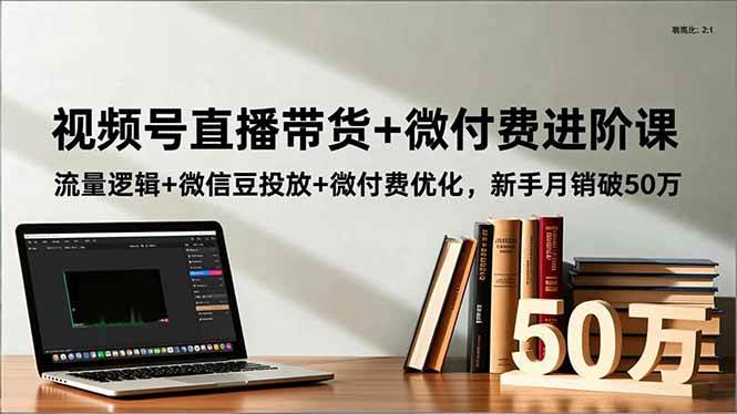 【20583】半野老师视频号直播带货+微付费进阶课：流量逻辑+微信豆投放+微付费优化，新手月销破50万