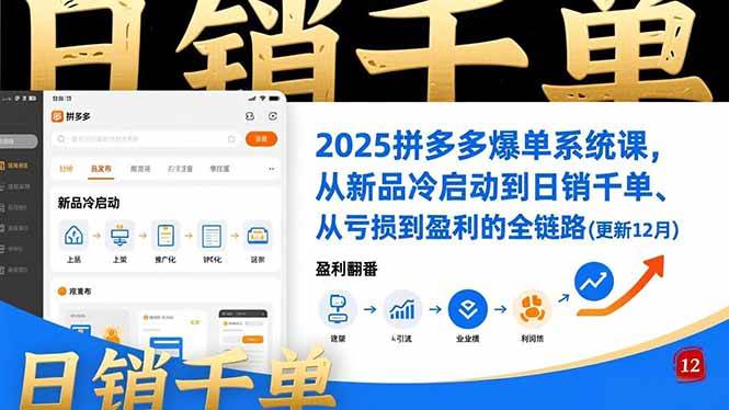 【20913】白凤电商2025拼多多爆单系统课，从新品冷启动到日销千单、从亏损到盈利的全链路（更新12月27日）