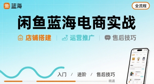 【21528】大飞老师闲鱼蓝海电商实战，店铺搭建运营售后全流程【4月10日更新】